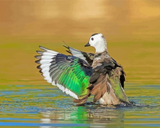 Aesthetic Cotton Pygmy Goose Paint By Numbers