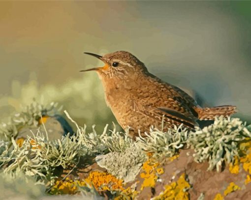 Aesthetic English Wren Paint By Numbers