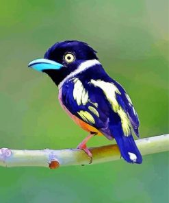 Aesthetic Eurylaimidae Bird Paint By Numbers