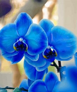 Aesthetic Blue Orchid Paint By Numbers