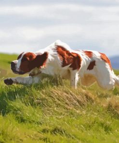 Aesthetic Irish Red And White Setter Paint By Numbers