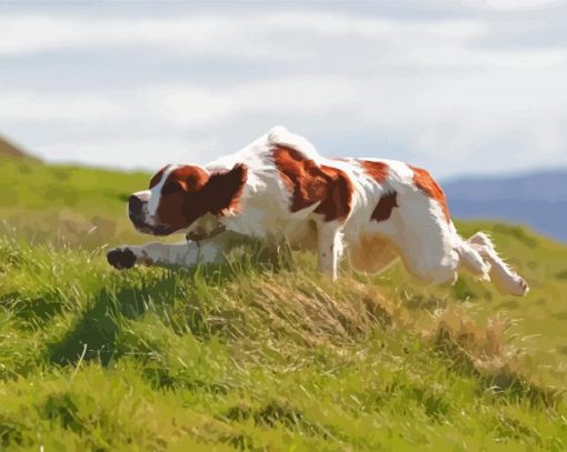 Aesthetic Irish Red And White Setter Paint By Numbers