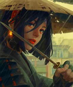 Alone Samurai Girl Paint By Numbers