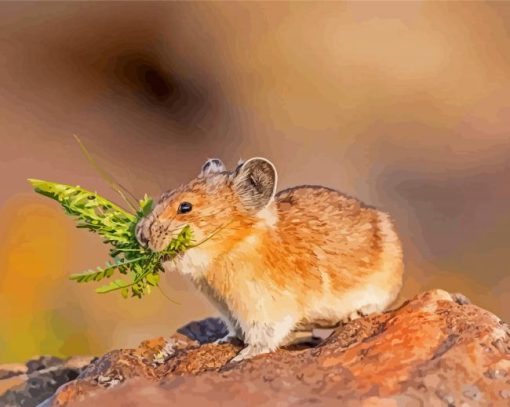 Aesthetic American Pika Paint By Numbers