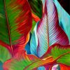 Banana Leaves Paint By Numbers