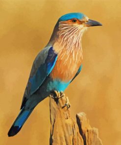 Beautiful Indian Roller Paint By Numbers