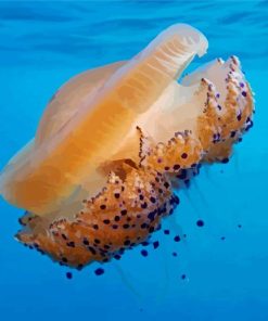 Big Yellow Fried Egg Jellyfish Paint By Numbers