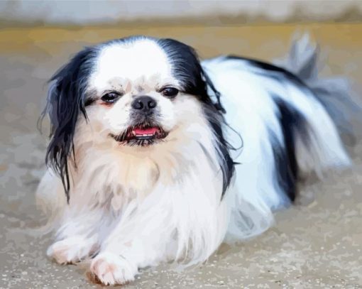 Black And White Japanese Chin Paint By Numbers