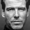 Black And White Pierce Brosnan Paint By Numbers