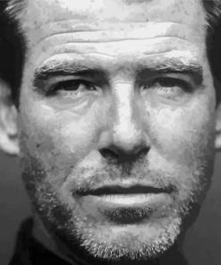 Black And White Pierce Brosnan Paint By Numbers