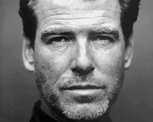 Black And White Pierce Brosnan Paint By Numbers