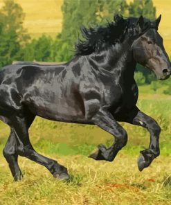 Black Percheron Horse Paint By Numbers