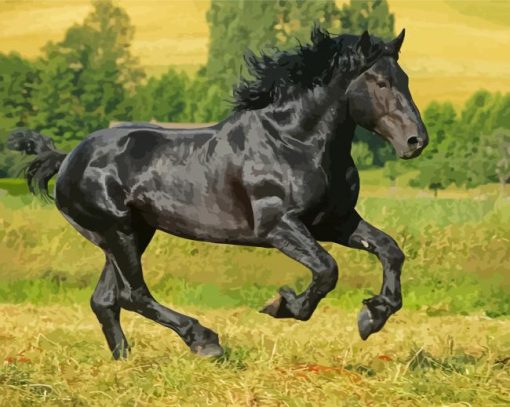 Black Percheron Horse Paint By Numbers