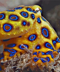 Blue Ringed Octopus Paint By Numbers