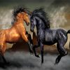 Brown And Black Horse Paint By Numbers