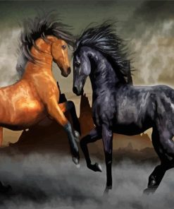 Brown And Black Horse Paint By Numbers