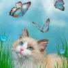 Cat With Blue Butterflies Paint By Numbers