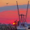 Chincoteague Harbor At Sunset Paint By Numbers