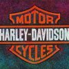 Colorful Harley Davidson Logo Paint By Numbers