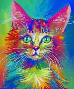 Colorful Cat Paint By Numbers