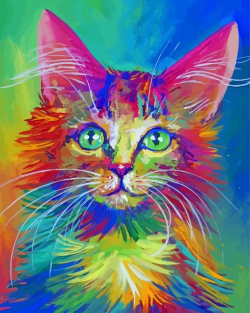 Colorful Cat Paint By Numbers