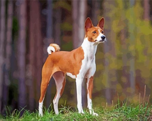 Cool Basenji Paint By Numbers