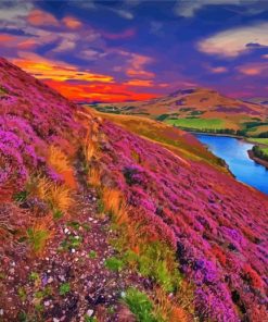 Cool Scottish Scenery Paint By Numbers