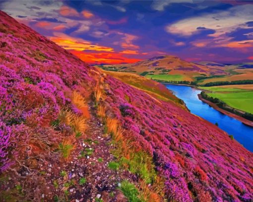 Cool Scottish Scenery Paint By Numbers