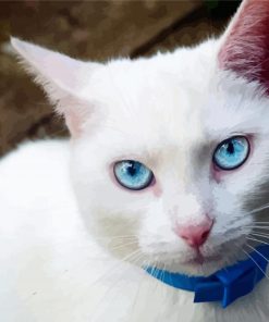 White Cats With Blue Eyes Paint By Numbers