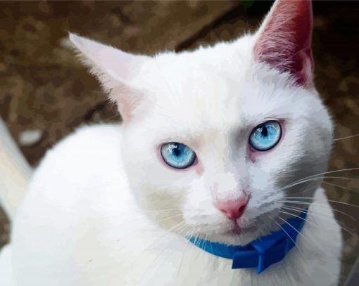 White Cats With Blue Eyes Paint By Numbers