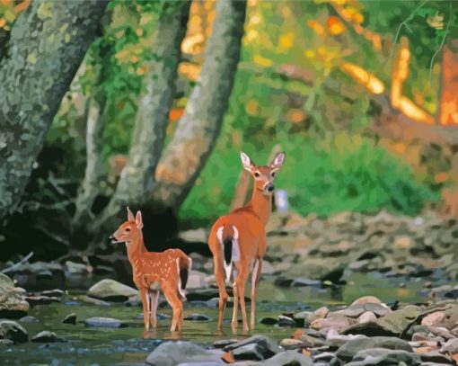 Doe And Fawn Paint By Numbers