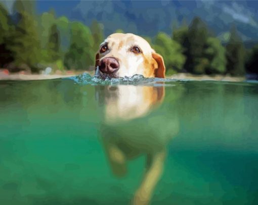 Dog Swimming In Water Paint By Numbers