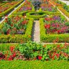 Flowering Formal Garden Paint By Numbers