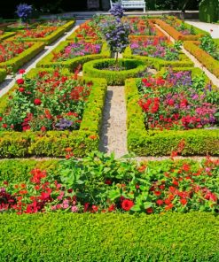 Flowering Formal Garden Paint By Numbers