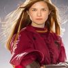 Ginny Weasley Paint By Numbers