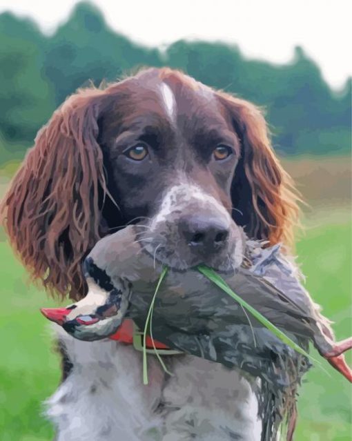 Hunting Dog With Pheasant Paint By Numbers