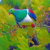 Kereru On Branch Under Rain Paint By Numbers