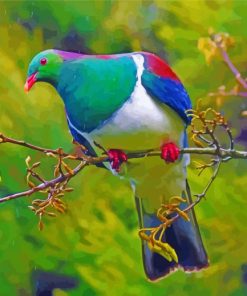 Kereru On Branch Under Rain Paint By Numbers