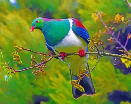 Kereru On Branch Under Rain Paint By Numbers