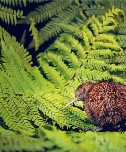 Lonely Kiwi Bird Paint By Numbers