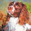 Pet Portrait Paint By Numbers