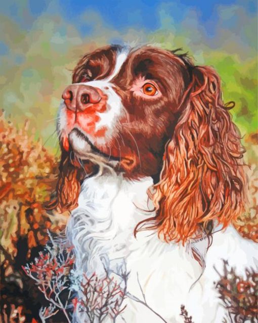 Pet Portrait Paint By Numbers