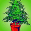 Weed Plant Illustration Paint By Numbers