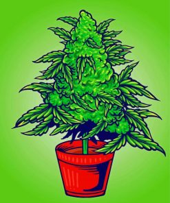 Weed Plant Illustration Paint By Numbers