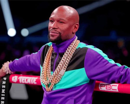 Professional Boxer Floyd Mayweather Paint By Numbers