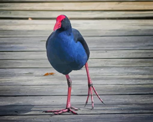 Pukeko Bird Paint By Numbers