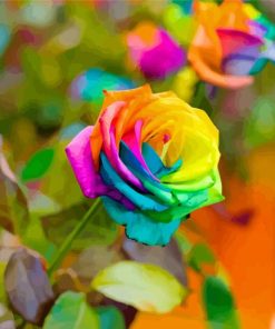 Rainbow Rose Paint By Numbers