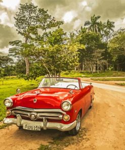 Red Forest Car Paint By Numbers