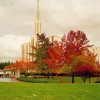 Seattle Washington Temple Paint By Numbers