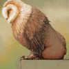 Sleepy Baby Owl Bear Paint By Numbers